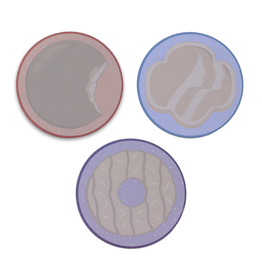 Cookie Fun Finds Sticky Note Cookie Trio Set