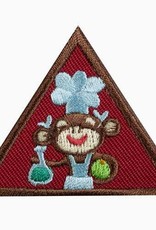 GIRL SCOUTS OF THE USA Brownie Home Scientist Badge