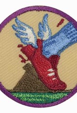 GIRL SCOUTS OF THE USA Junior Practice with Purpose Badge