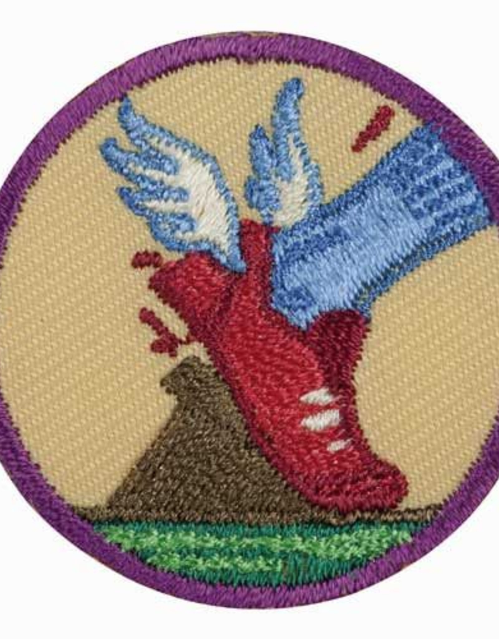 GIRL SCOUTS OF THE USA Junior Practice with Purpose Badge