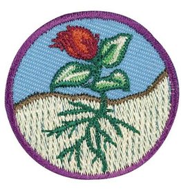 GIRL SCOUTS OF THE USA Junior Flowers Badge