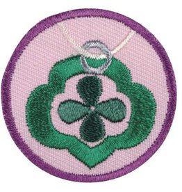 GIRL SCOUTS OF THE USA Junior Jeweler Badge