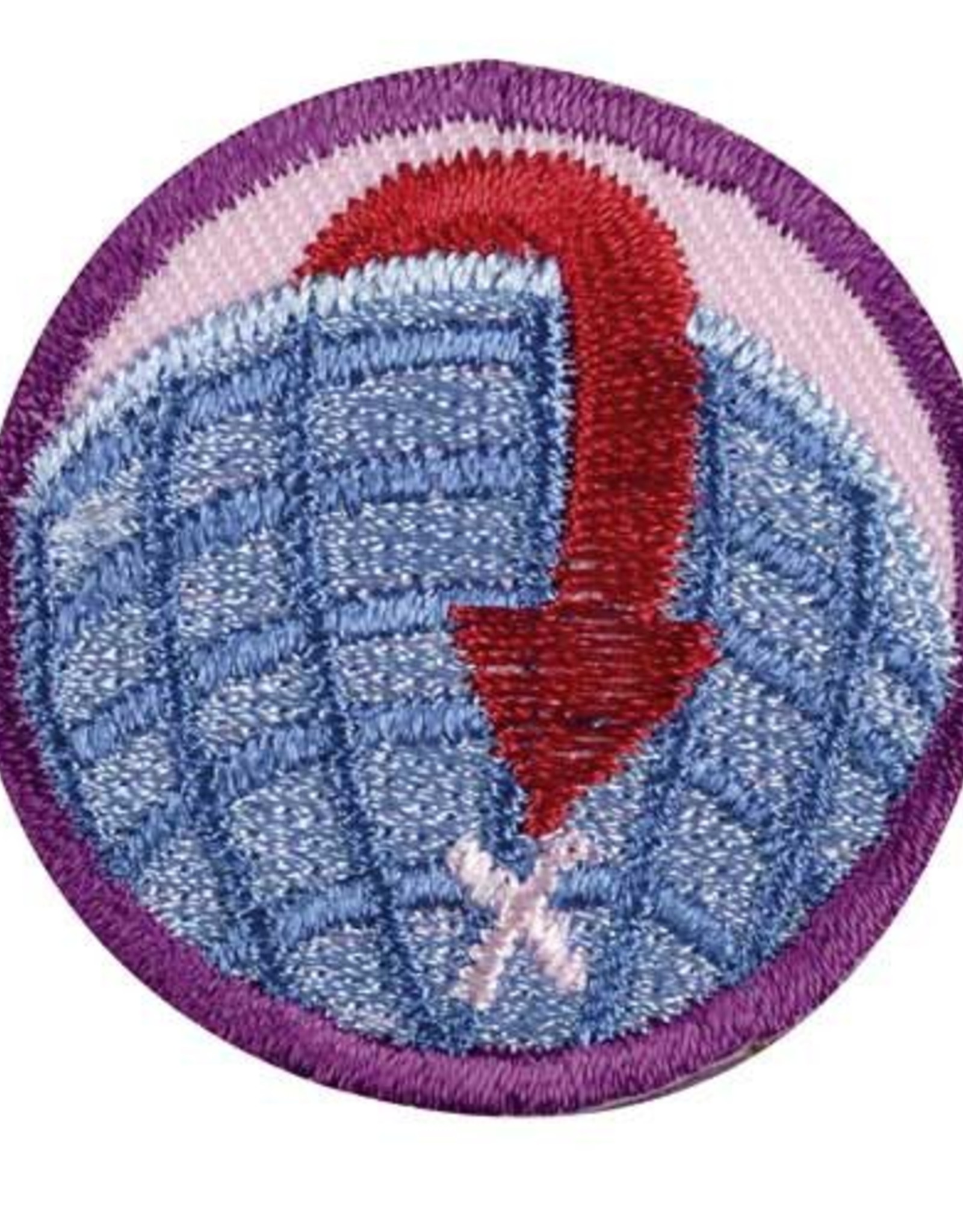 GIRL SCOUTS OF THE USA Junior Geocacher Badge