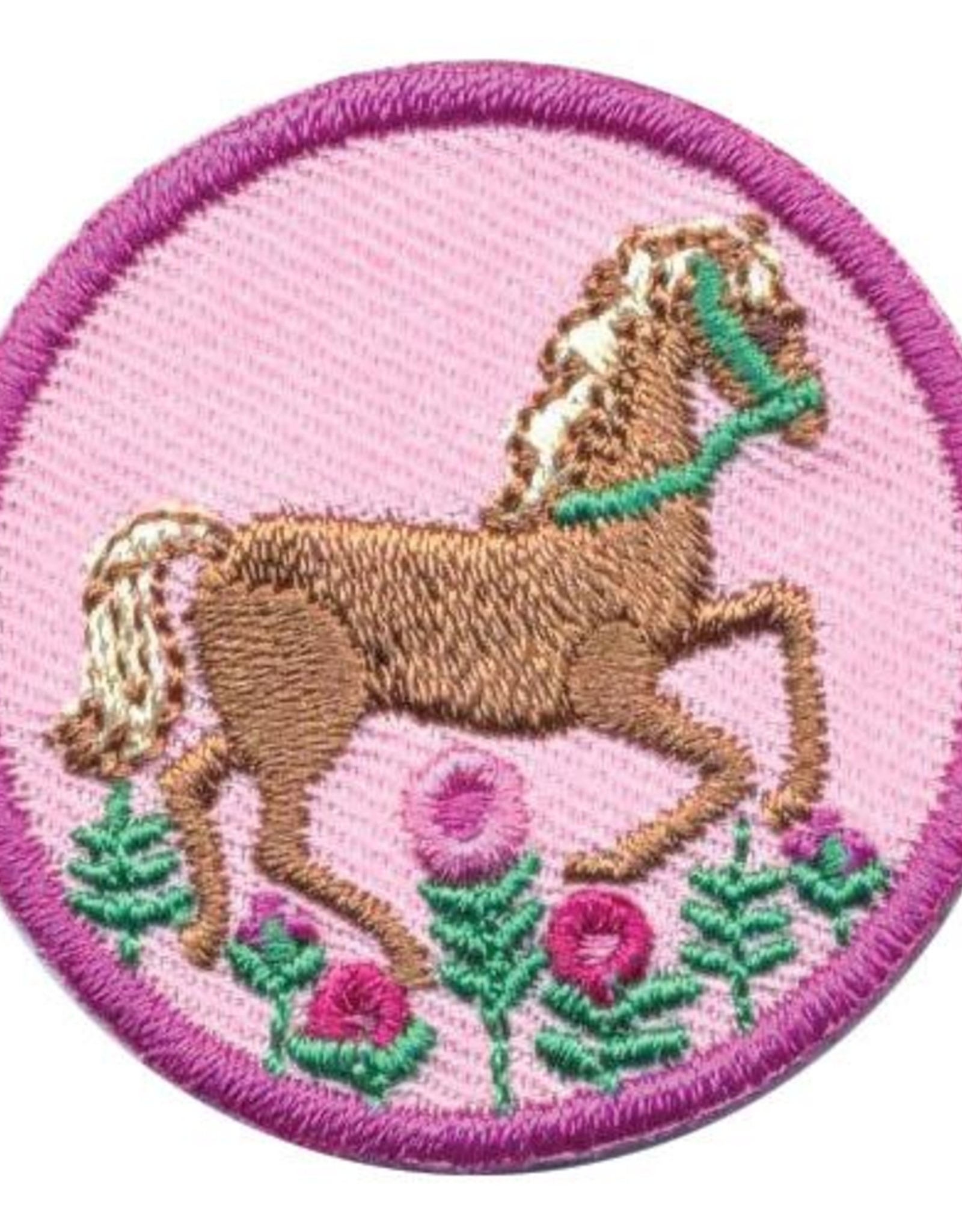 GIRL SCOUTS OF THE USA Junior Horseback Riding Badge