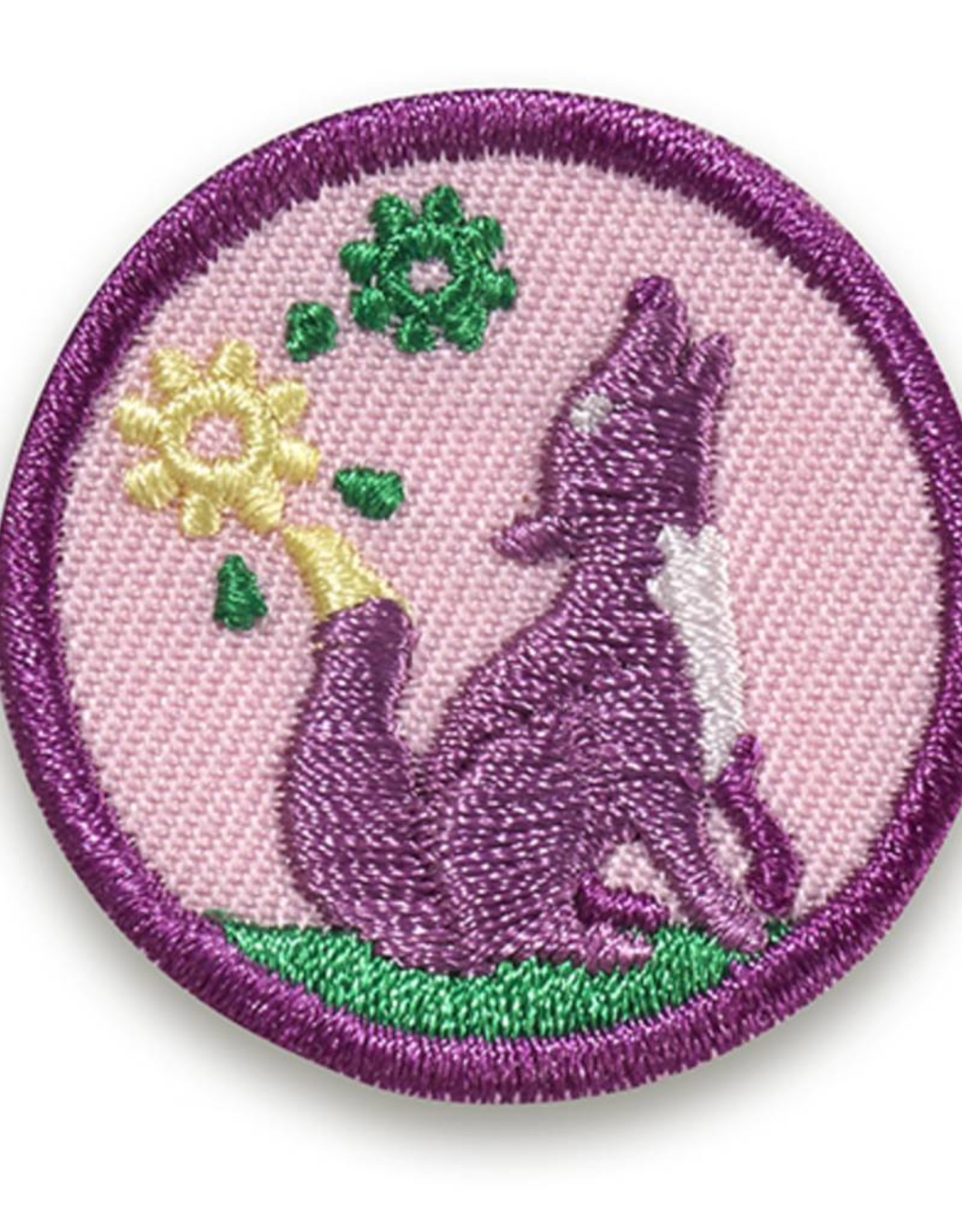 GIRL SCOUTS OF THE USA Junior Outdoor Art Explorer Badge