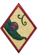 GIRL SCOUTS OF THE USA Cadette New Cuisines Badge