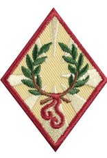 GIRL SCOUTS OF THE USA Cadette Good Sportsmanship Badge