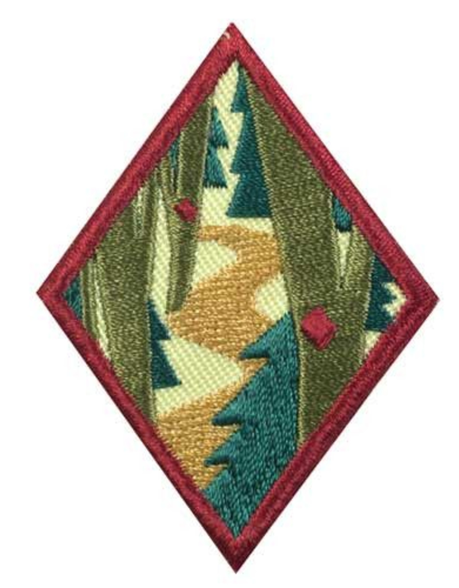 GIRL SCOUTS OF THE USA Cadette Trailblazing Badge