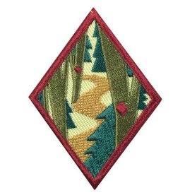 GIRL SCOUTS OF THE USA Cadette Trailblazing Badge