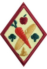 GIRL SCOUTS OF THE USA Cadette Eating for You Badge