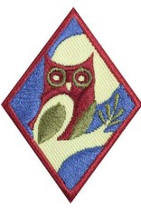 GIRL SCOUTS OF THE USA Cadette Night Owl Badge