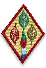 GIRL SCOUTS OF THE USA Cadette Outdoor Art Apprentice Badge
