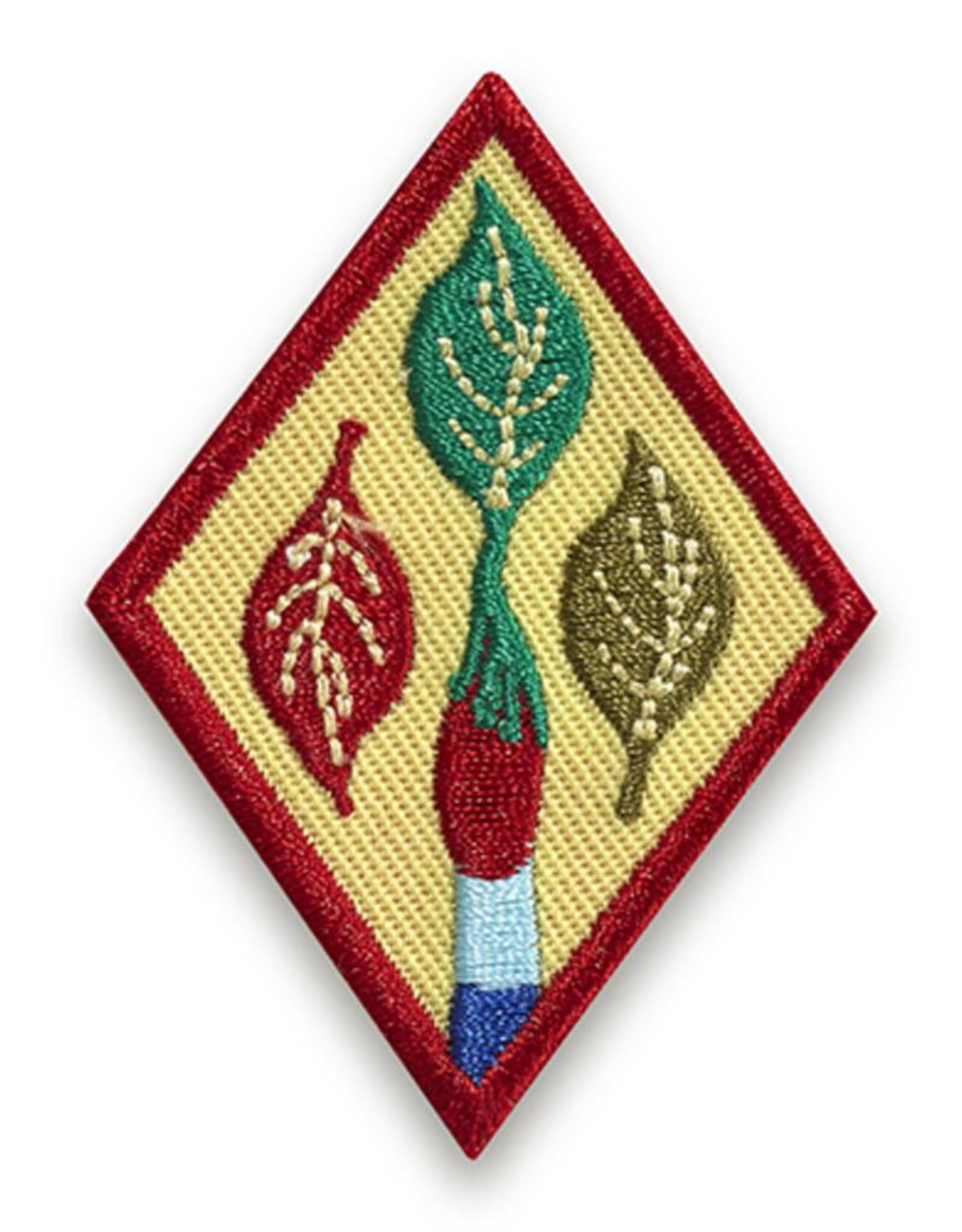 GIRL SCOUTS OF THE USA Cadette Outdoor Art Apprentice Badge