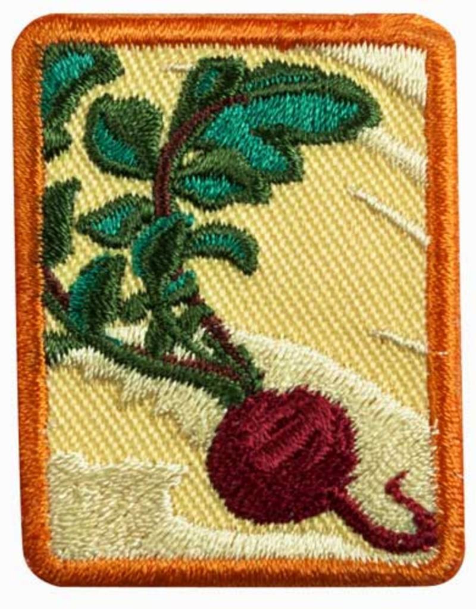GIRL SCOUTS OF THE USA Senior Locavore Badge