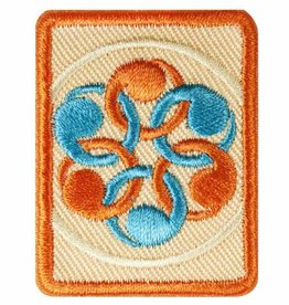 GIRL SCOUTS OF THE USA Senior Social Innovator Badge