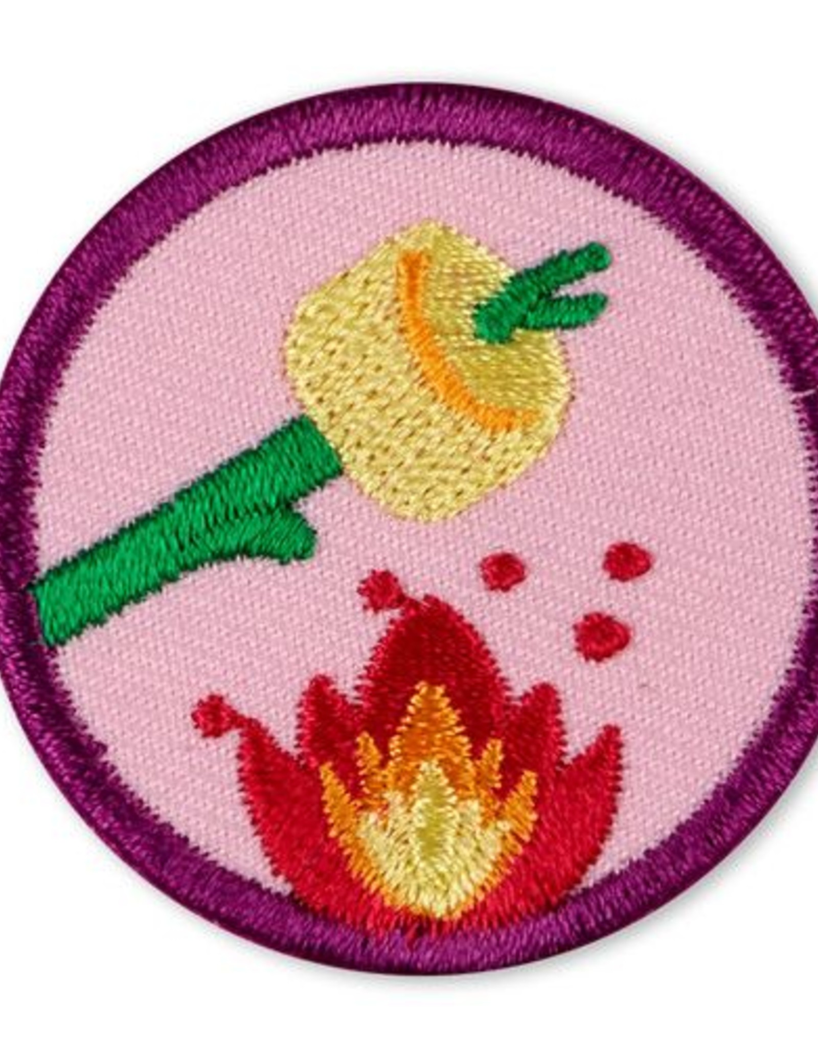 GIRL SCOUTS OF THE USA Junior Eco Camper Badge