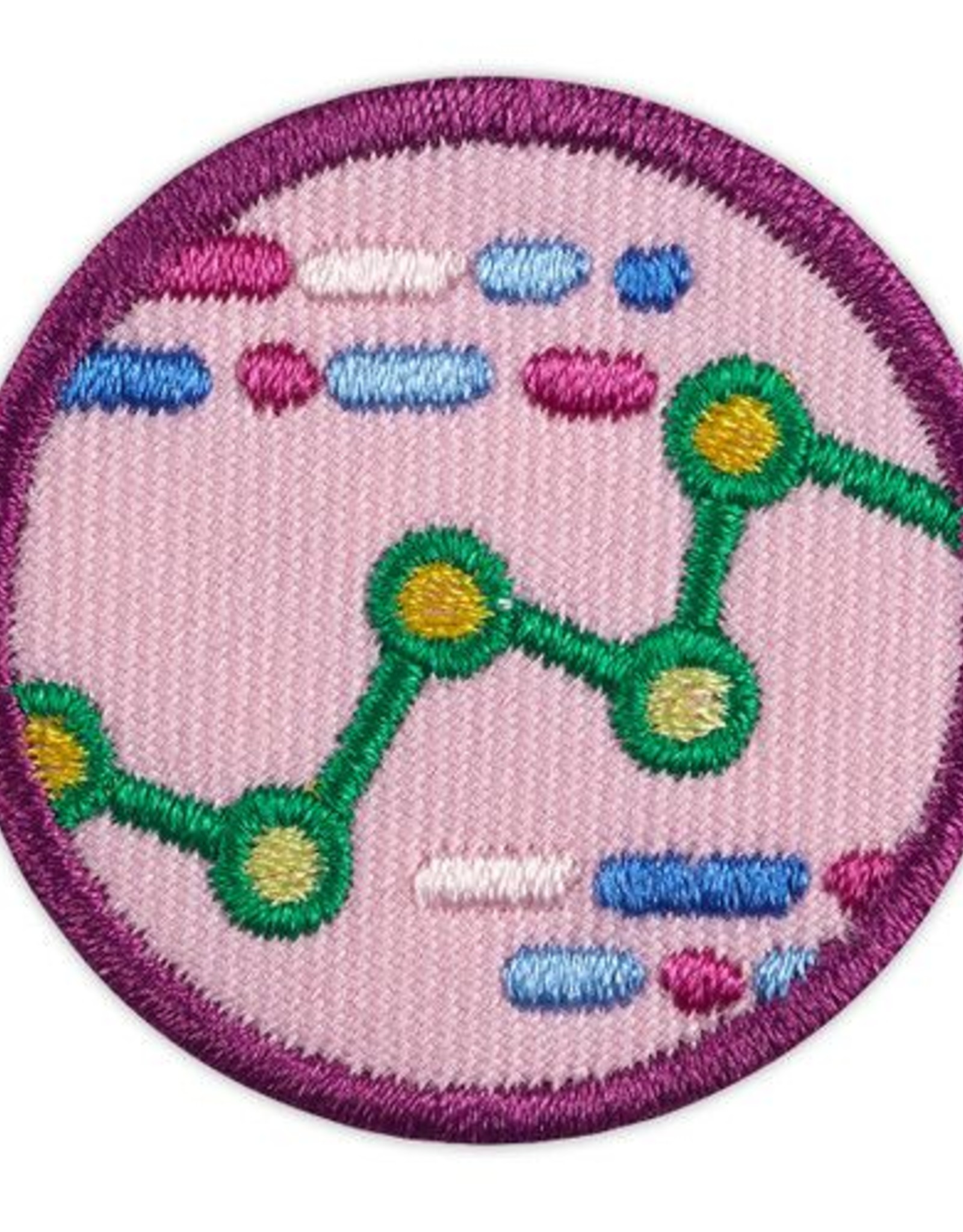GIRL SCOUTS OF THE USA Junior Think Like a Programmer Computer Science Journey Award Badge