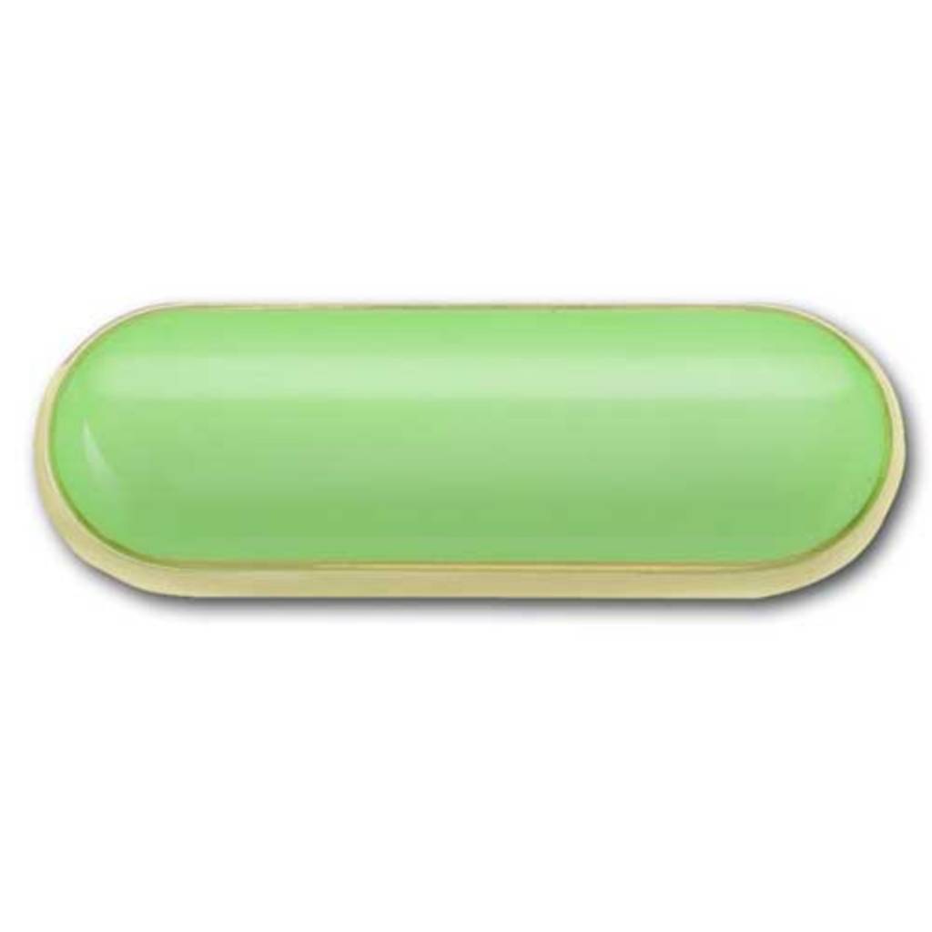 GIRL SCOUTS OF THE USA Position Pin Lime Facilitator Girl Scouts of