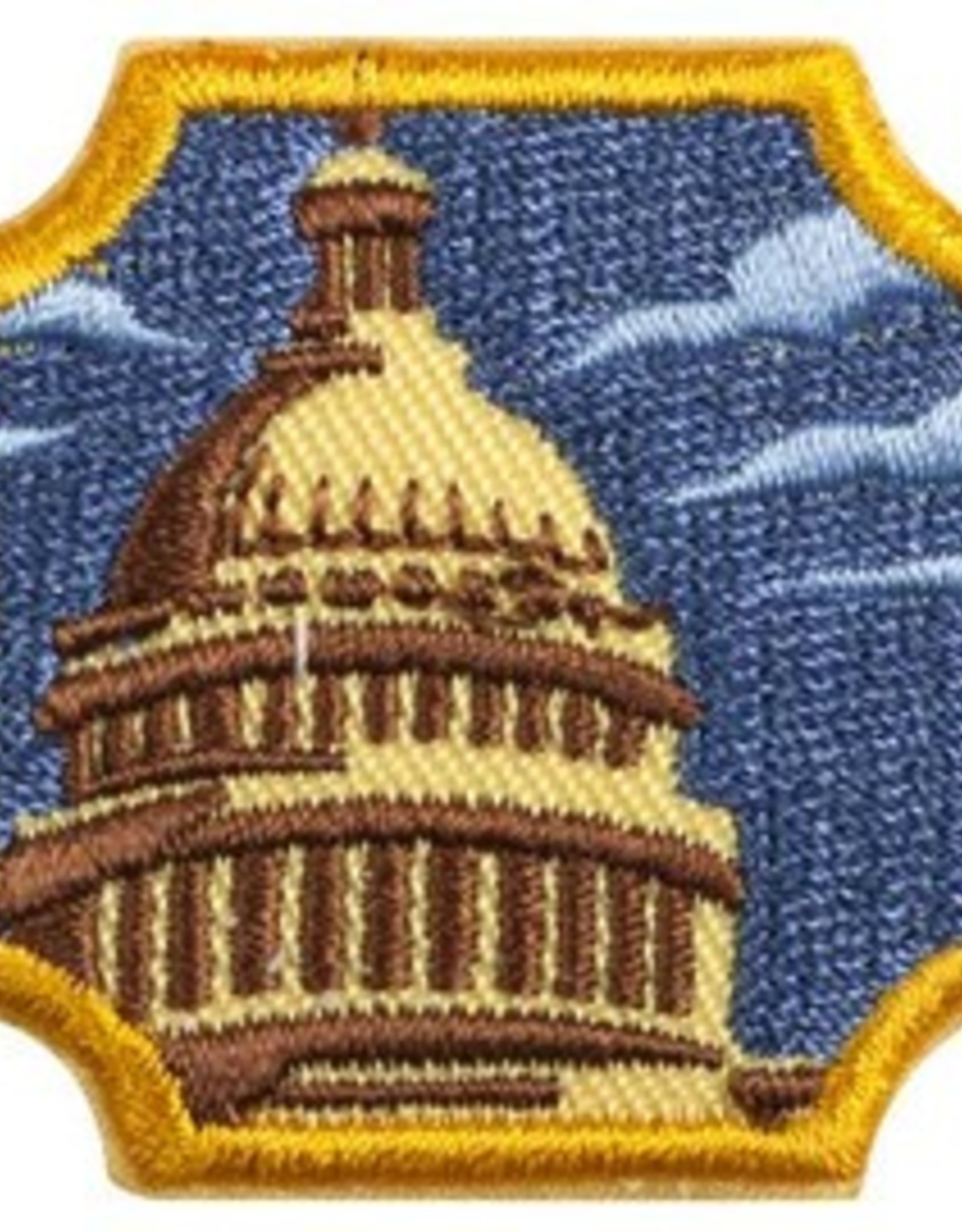 GIRL SCOUTS OF THE USA Ambassador Public Policy Badge