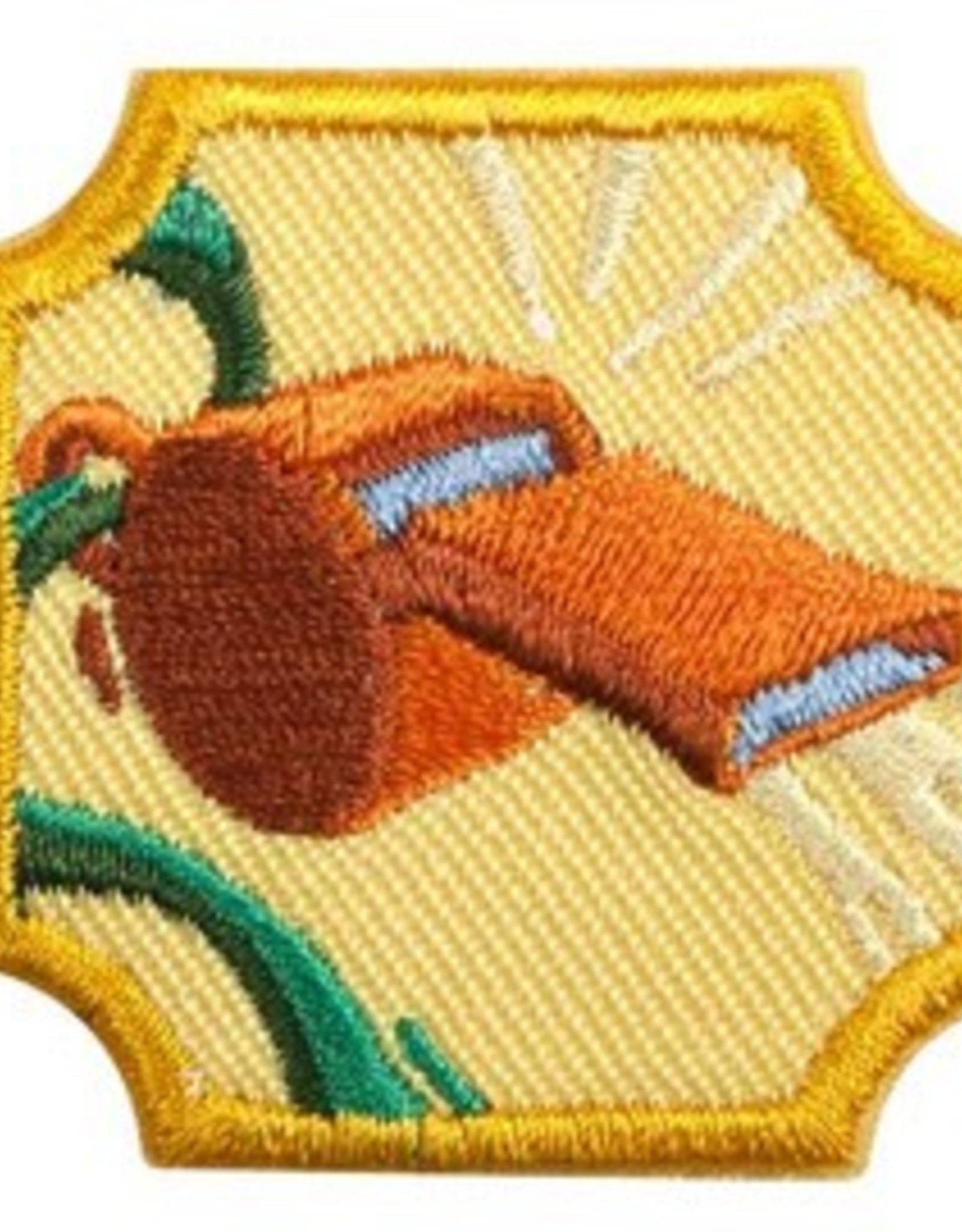 GIRL SCOUTS OF THE USA Ambassador Coaching Badge