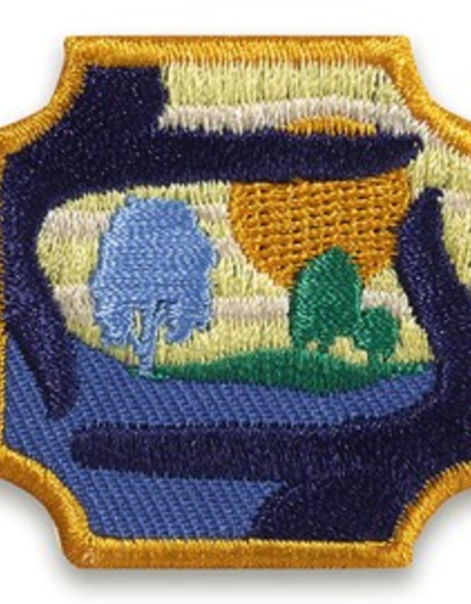 GIRL SCOUTS OF THE USA Ambassador Outdoor Art Master Badge