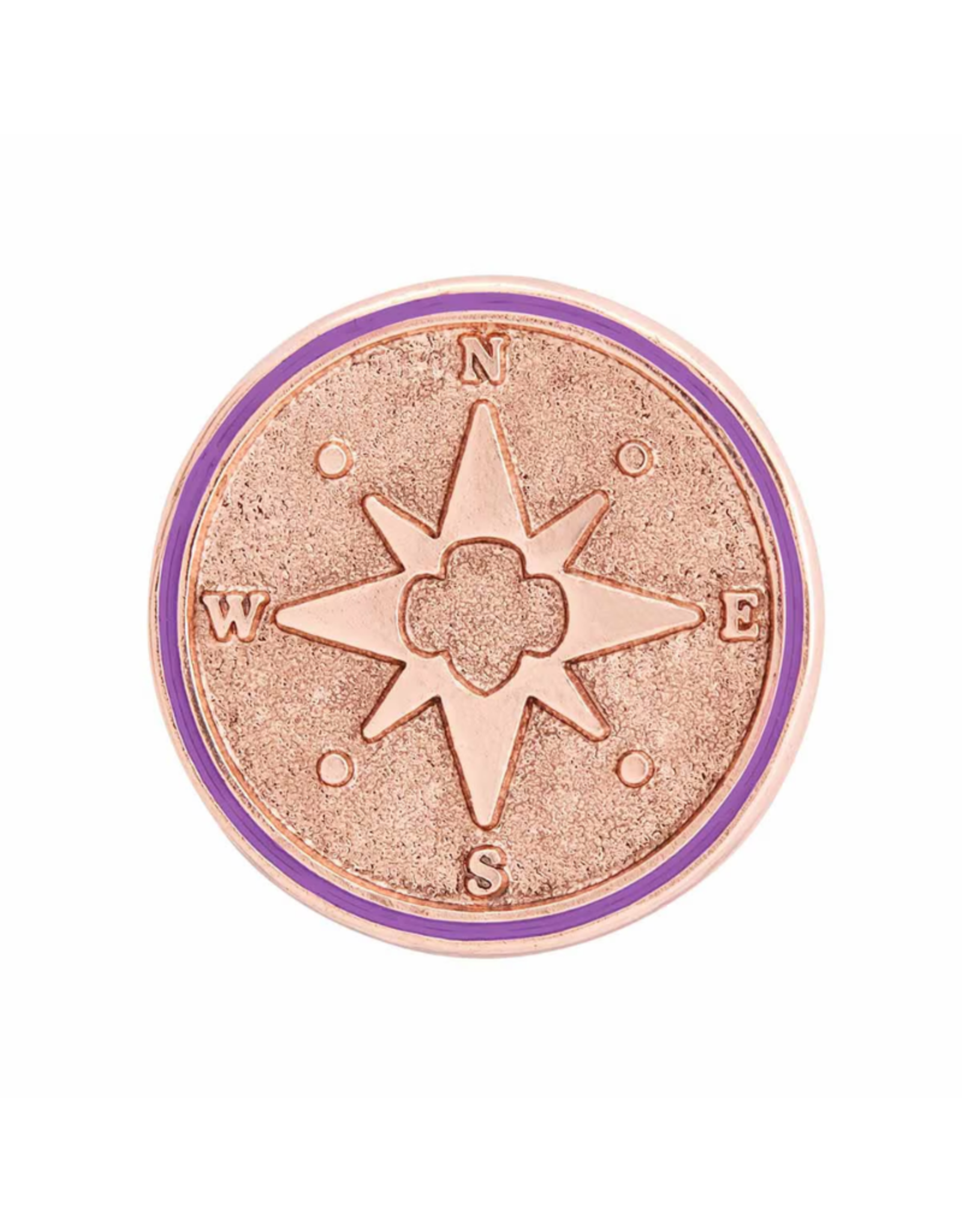 Junior True North Award Pin
