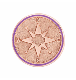 Junior True North Award Pin