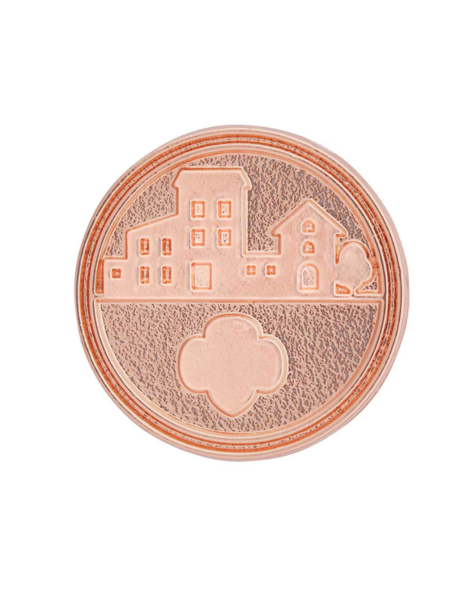 Take Action Award Pin