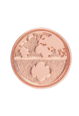 Global Action Award Pin