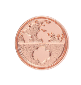 Global Action Award Pin
