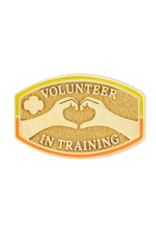 Volunteer In Training Award Pin