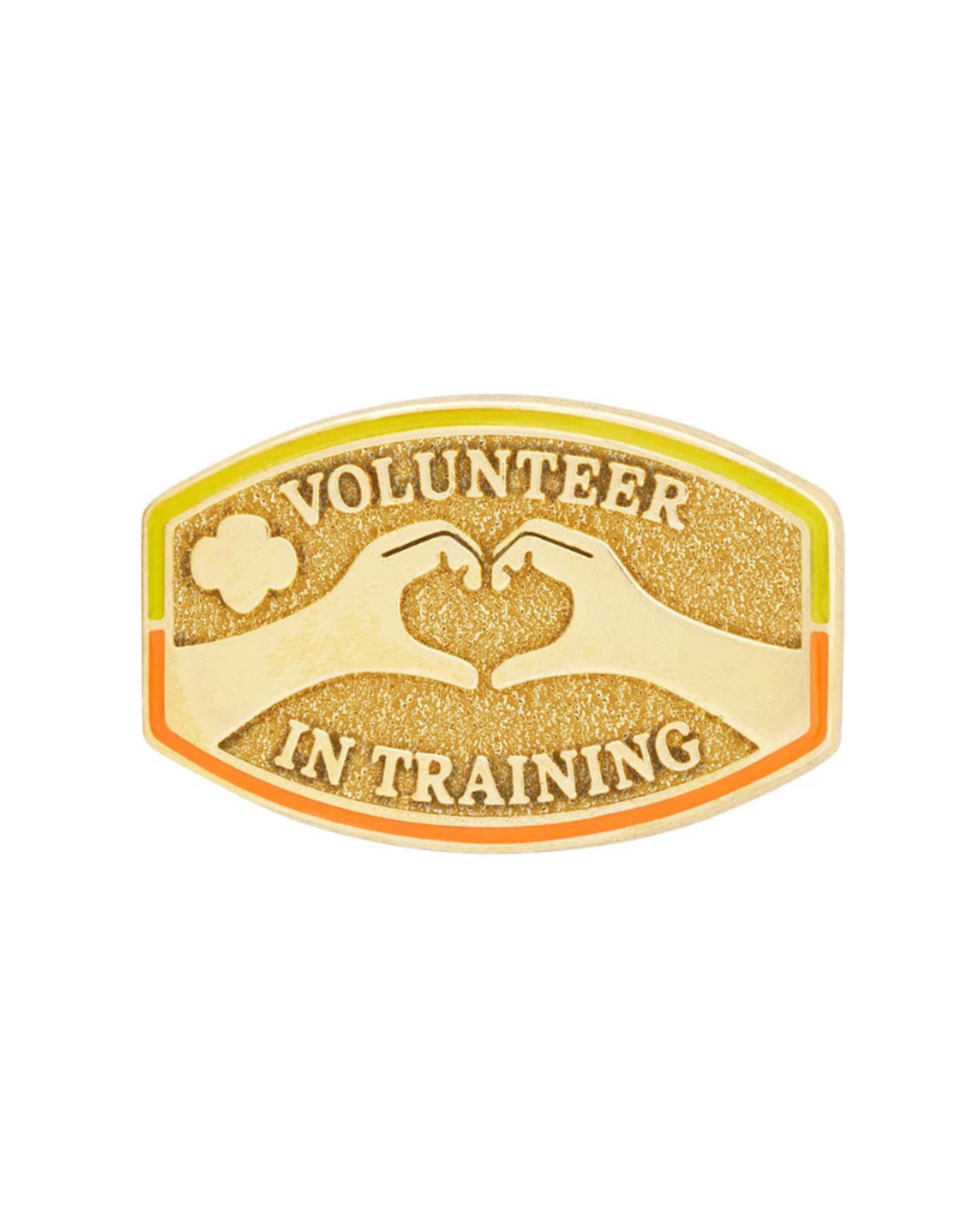 Volunteer In Training Award Pin