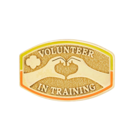 Volunteer In Training Award Pin