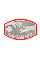 Program Aide Award Pin