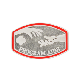 Program Aide Award Pin