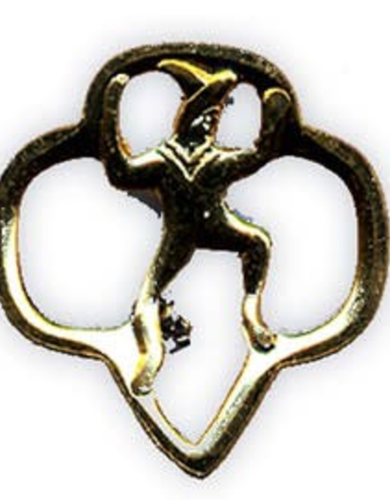 GIRL SCOUTS OF THE USA Brownie Membership Pin