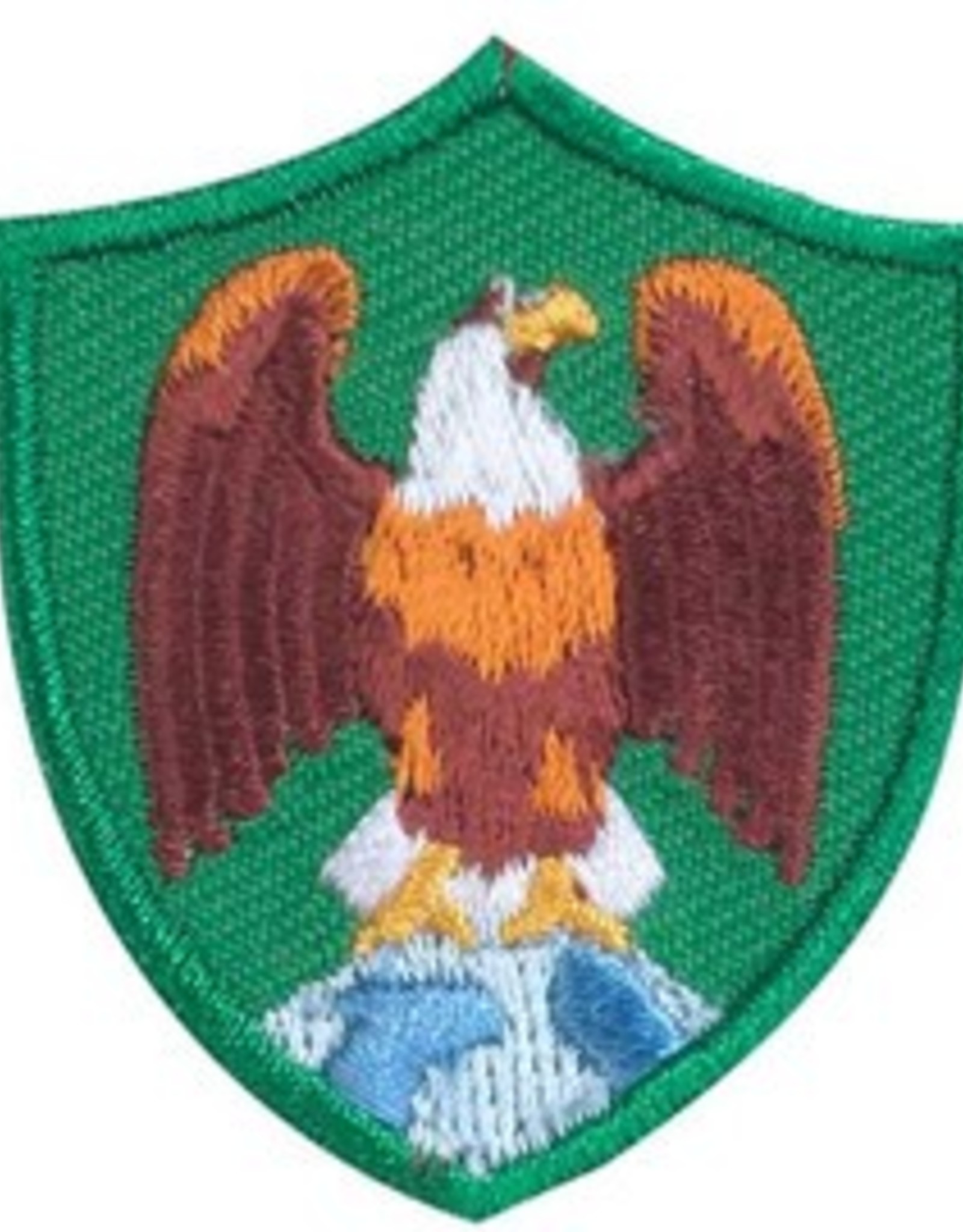 GIRL SCOUTS OF THE USA Eagle Troop Crest