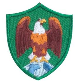 GIRL SCOUTS OF THE USA Eagle Troop Crest