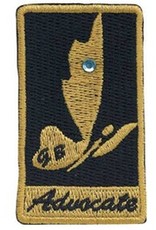 GIRL SCOUTS OF THE USA Ambassador Your Voice Award Patch