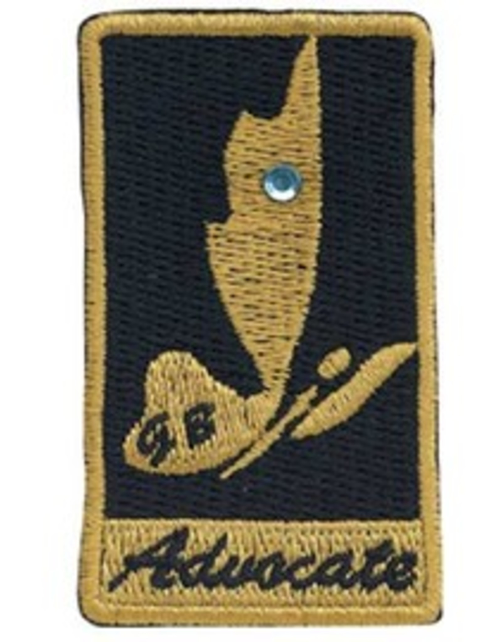 GIRL SCOUTS OF THE USA Ambassador Your Voice Award Patch