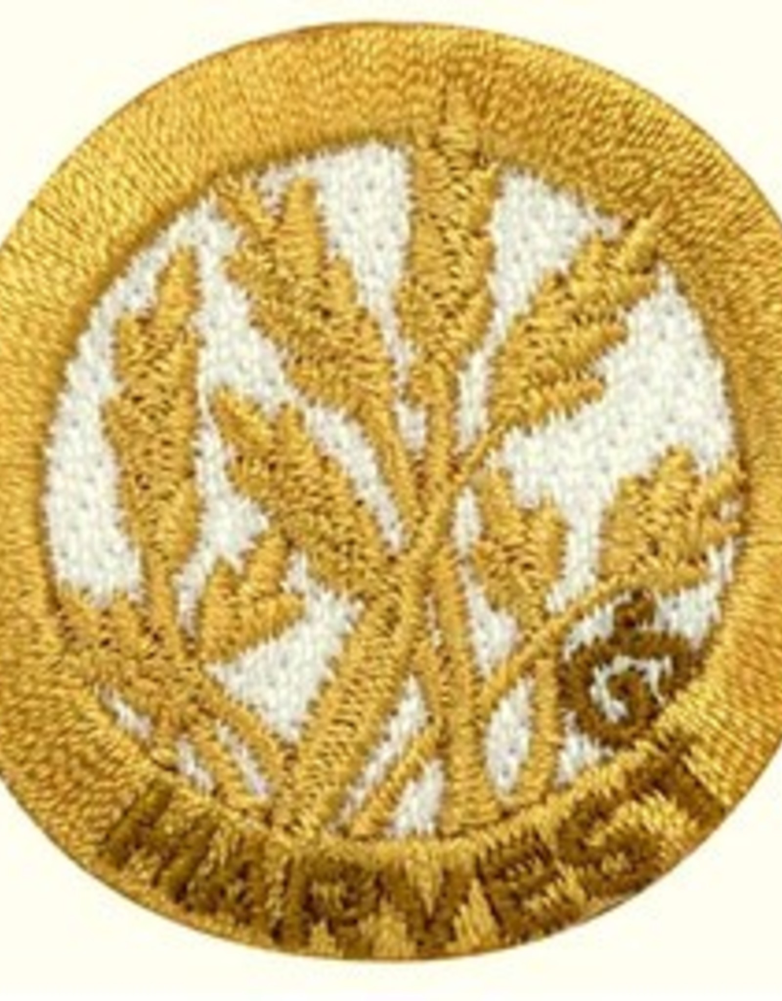 GIRL SCOUTS OF THE USA Senior Sow What Award Patch