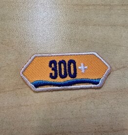 2026 Brave Fierce Fun Cookie 300+ Sales Bar Patch