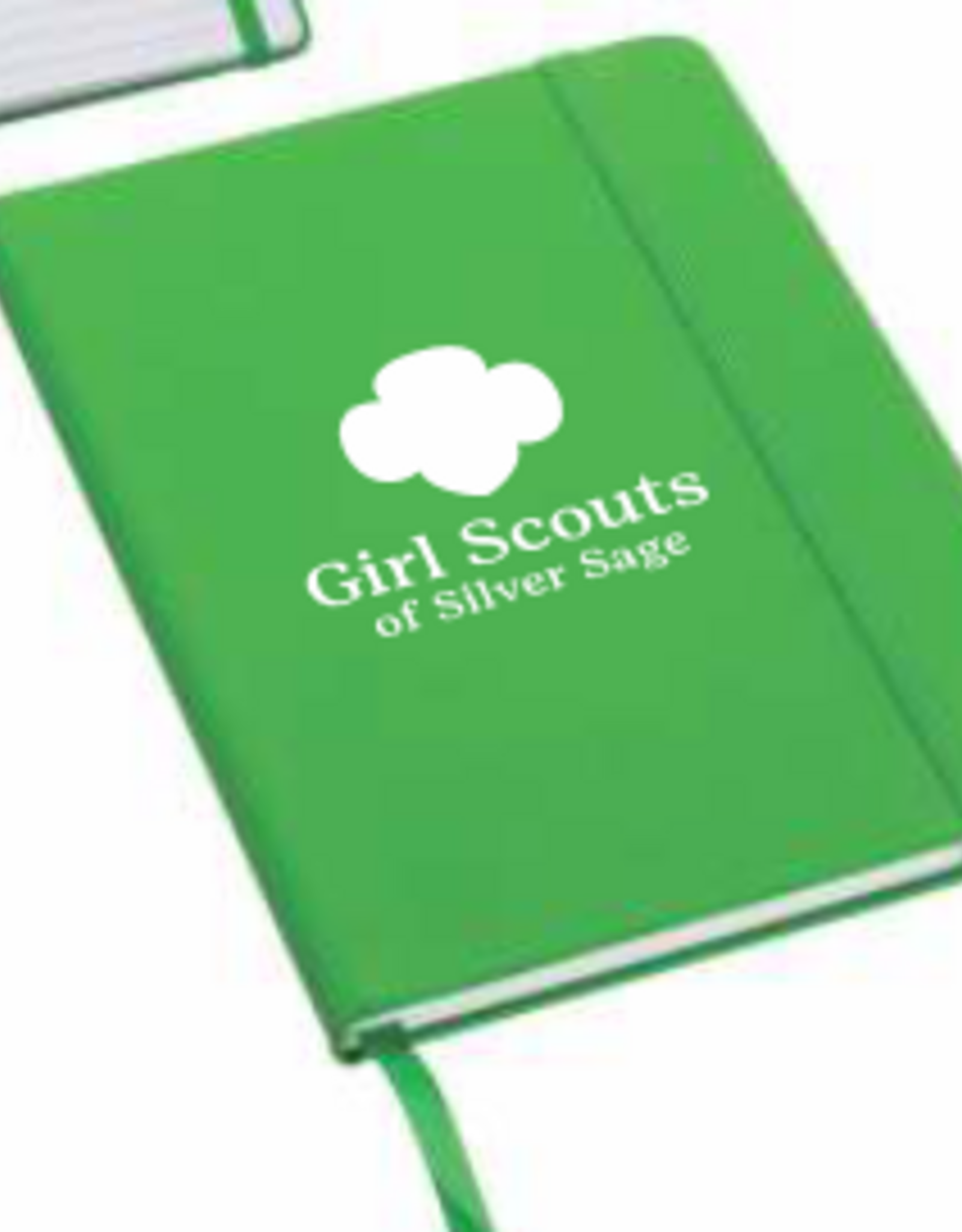 The Roberts Group Silver Sage 5x7  Hard Cover Journal Assorted