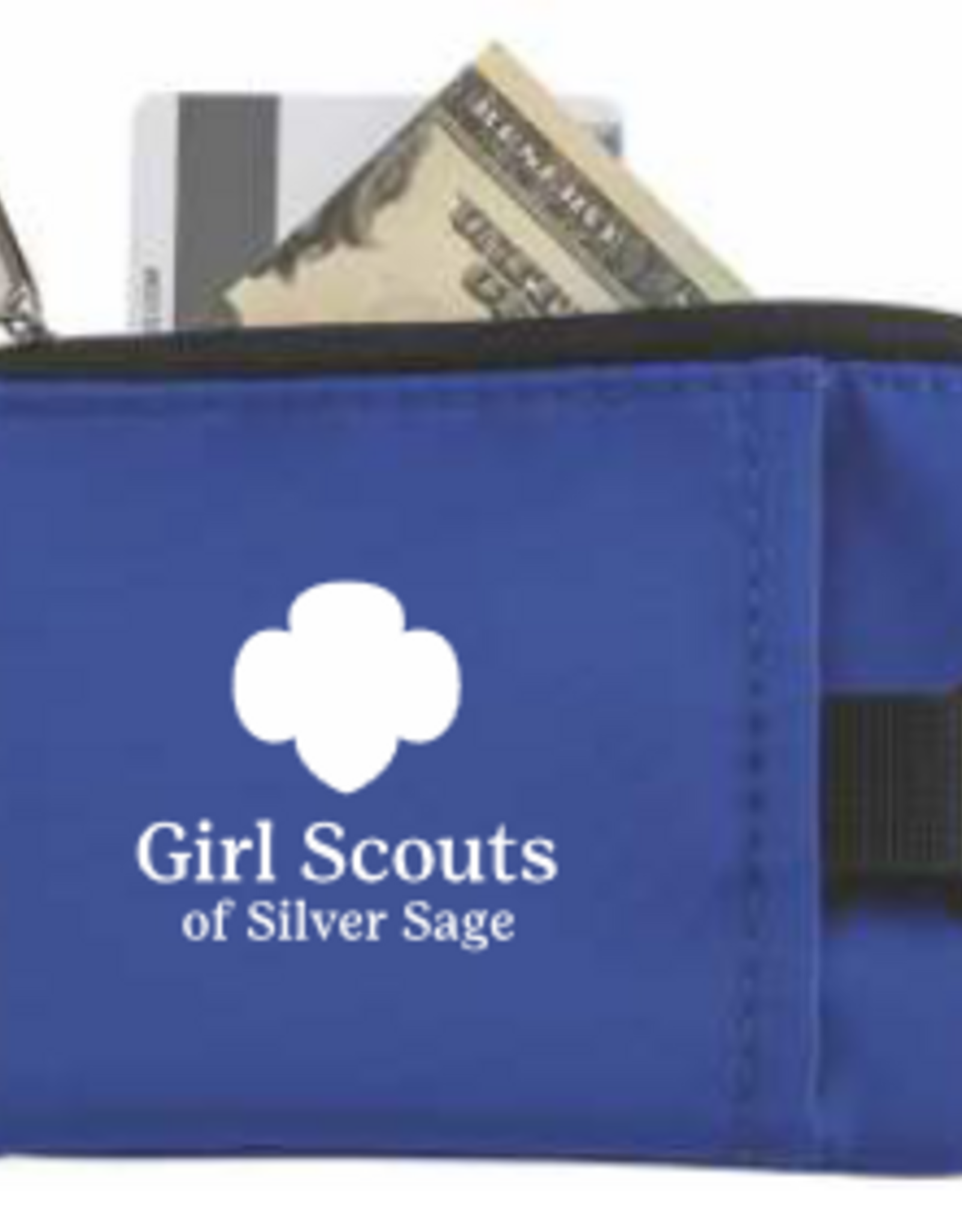 The Roberts Group Silver Sage Small Key Stash Wallet Assorted