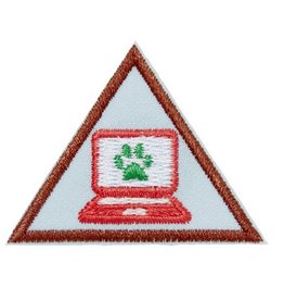 GIRL SCOUTS OF THE USA Brownie Cybersecurity Safeguards Badge