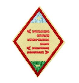 GIRL SCOUTS OF THE USA Cadette Think Like a Programmer Computer Science Journey Award Badge