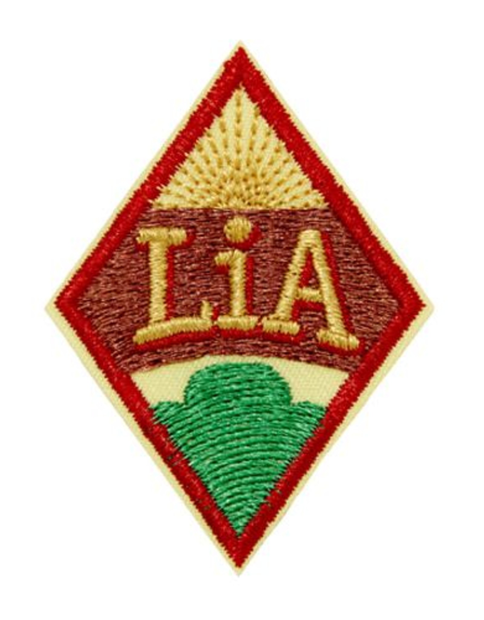 GIRL SCOUTS OF THE USA Cadette Leadership in Action LIA Journey Award Badge