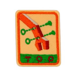 GIRL SCOUTS OF THE USA Senior Designing Robots Badge