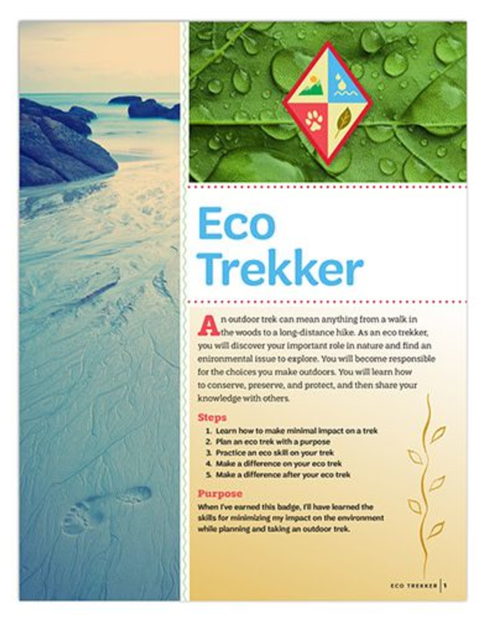 GIRL SCOUTS OF THE USA Cadette Eco Trekker Requirements