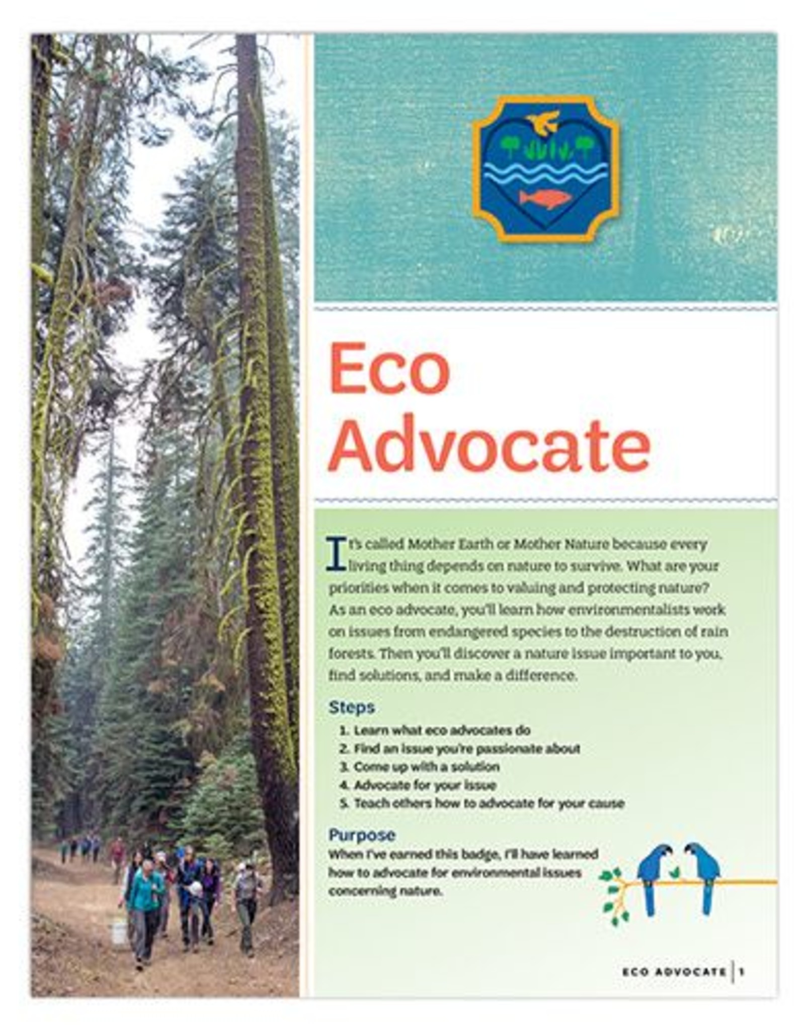 GIRL SCOUTS OF THE USA Ambassador Eco Advocate Requirements